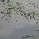 새동인약국 이미지