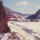 미산중학교 이미지