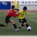 여주종합운동장 이미지