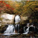 방태산 자연휴양림 캠핑장 이미지