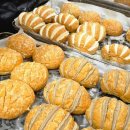 아빠제빵소 | 단양 구경시장 맛집 단양 마늘빵 맛집 단양제빵소 포장 후기 단양여행 필수코스 !