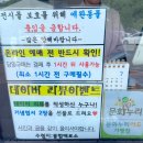가평군 설악도서관 | 가평가볼만한곳 쁘띠프랑스 이탈리아마을 피노키오와다빈치 데이트 추천
