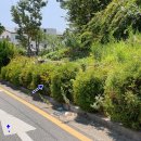 당사마을회관 이미지