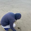 몽푸하우스 이미지