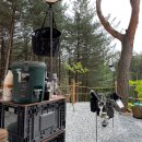 비발디 캠핑파크 이미지