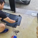 토리노디테일링