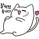 카멜버스