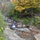지리산 오도재 힐링캠핑장 이미지