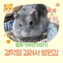 반창꼬동물병원 이미지