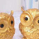 부엉이샵 이미지