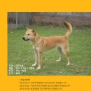 대진광고 - 양산시 북정2길 11 | 대진광고