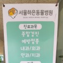 하은동물병원 이미지