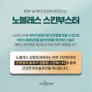 노블레스 스킨 이미지