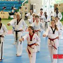 반딧불태권도체육관 이미지