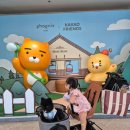 개뭉치 반려견 훈련센터 | 휘닉스파크 평창 반려견동반 객실 여행 후기