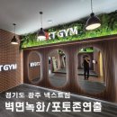 나무의 품격 조화플랜테리어 넥스트짐 거울 포토존 벽면조화 후기