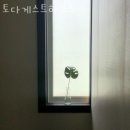 토다게스트 이미지