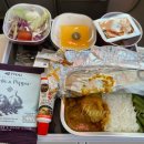 657 | 타이항공 방콕 이코노미클래스 후기 | TG657 TG652