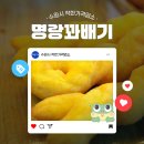 수원-0088 네이버블로그