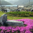 배울목장 이미지