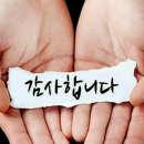 대구꽃배달서비스