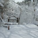 서귀포자연휴양림 이미지