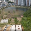 더포레C 이미지