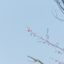 지행주공 2단지 앞 이미지