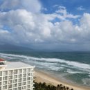 트러스트체크 이미지