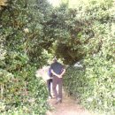 녹산등대가는길 이미지