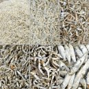 태형상회 이미지