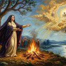 베틀농장 이미지