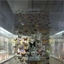 [목포여행] 지구 46억년 자연의 역사를 담은 목포자연사박물관 이미지