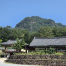 무릉도원면-5 이미지