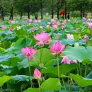 선안요양병원 이미지