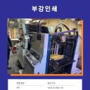 삼광씨링