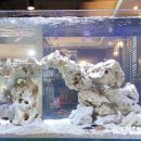 코보아쿠아 이미지