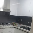 펠리시티 이미지