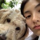 김용지 카카오 검색결과