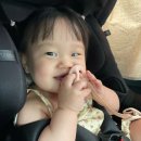 손주약국 이미지