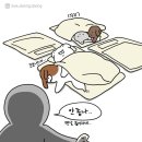 퍼피스프링 이미지