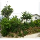 양촌리마을 이미지