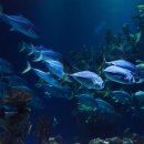 솔가람아트홀 이미지