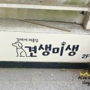 견생미생 네이버블로그
