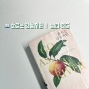 흐르는강물처럼 | 베스트셀러 『흐르는 강물처럼』 줄거리 및 감상:상실 속에서 피어난 강인한 삶의 기록