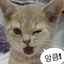 한강미디어고등학교 내 이미지
