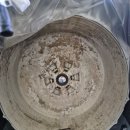 백곰세탁 이미지