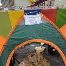 WR(부산광역시 해운대구)-[APEC로]-하-3 | 부산 아이랑 가볼만한 곳 벡스코 상상체험 키즈월드 | 22개월 아이랑 오후권 내돈내산 방문 후기