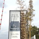 네시야 | 용인 대형카페 추천 파네시마 복합문화공간, 조카랑 데이트 다녀온 솔직 후기