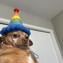 진하한우프라자 | 1월, 기묘한 고요